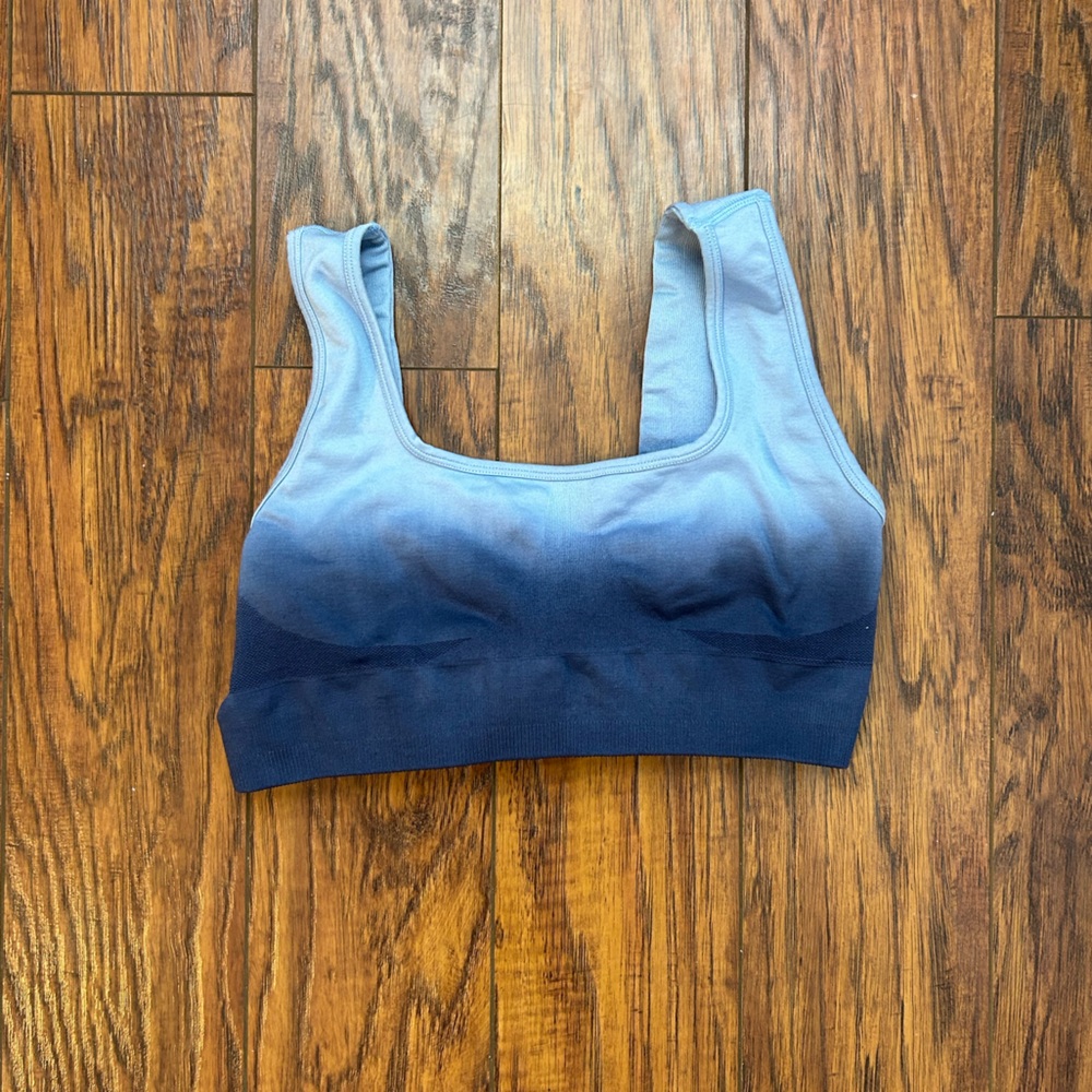 Blue Ombrè BuffBunny Sports Bra